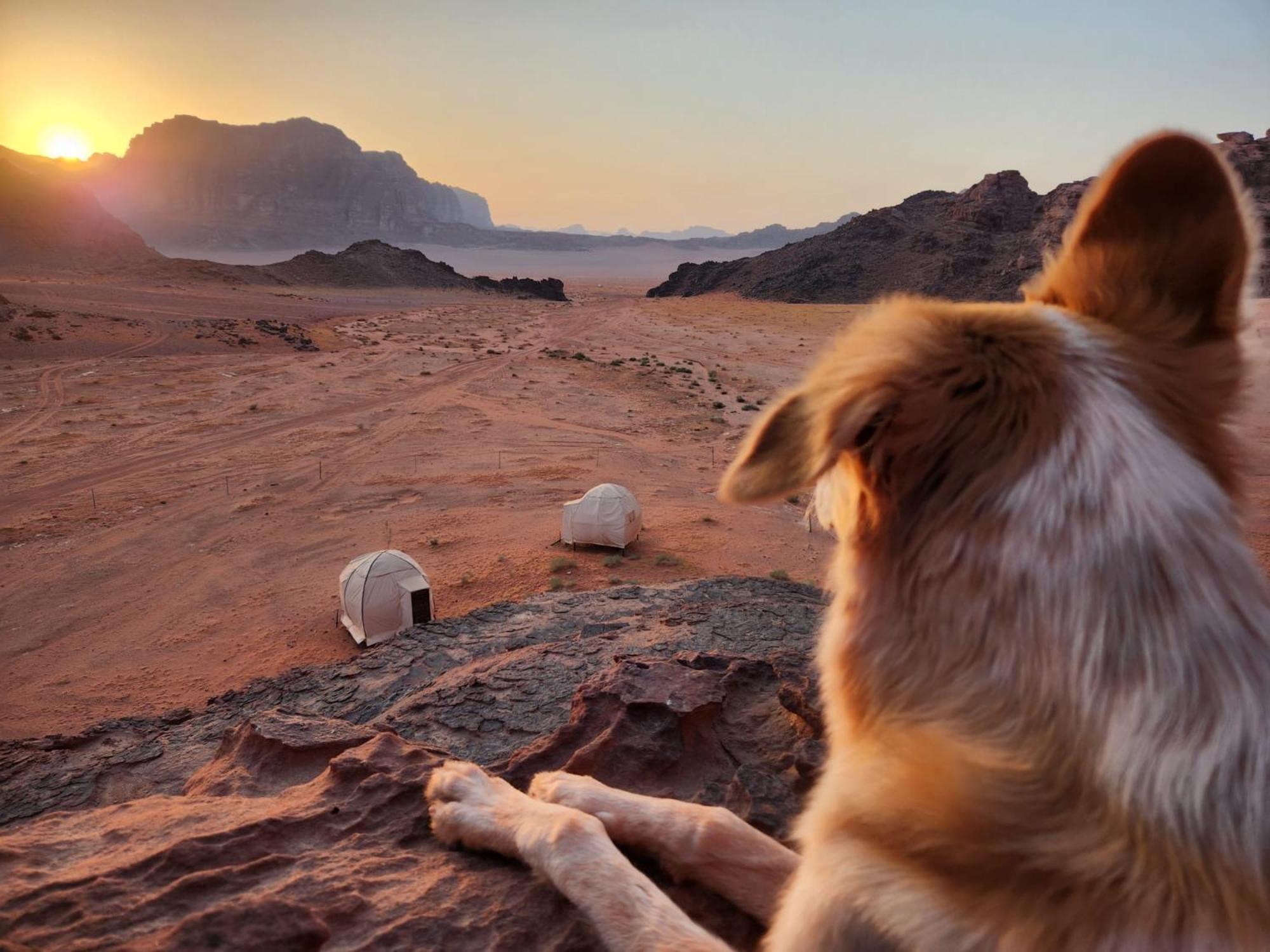 Wadi Rum Bedouin Experience Dış mekan fotoğraf