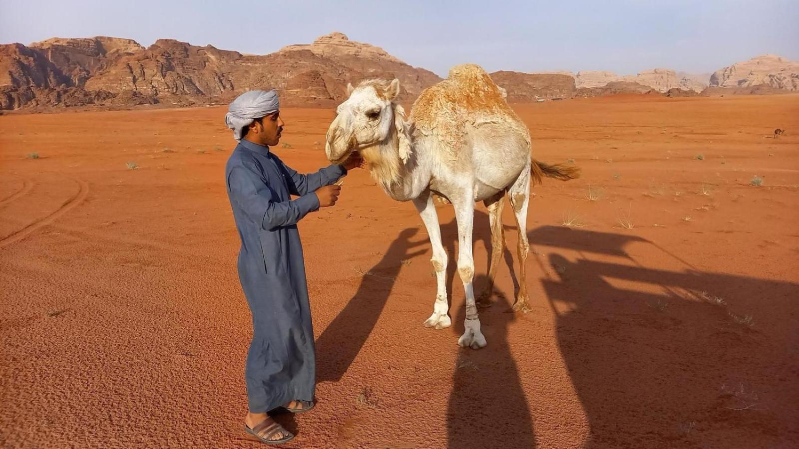 Wadi Rum Bedouin Experience Dış mekan fotoğraf